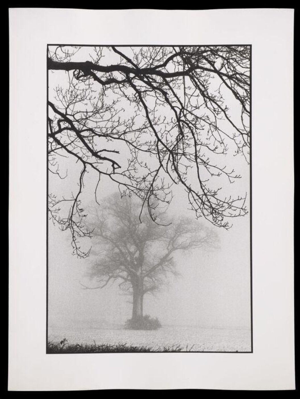 Hardy, Bert, Snow