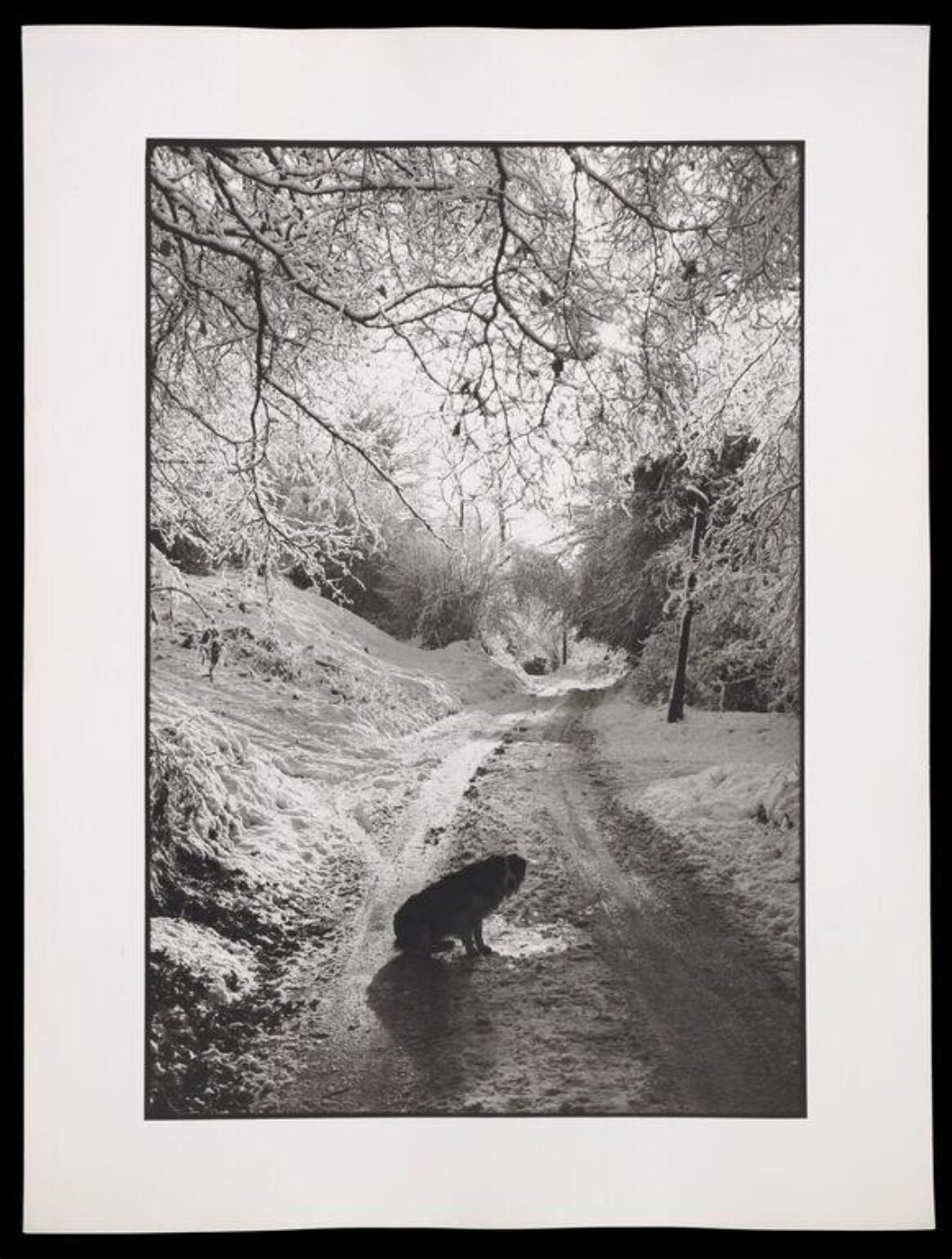 Hardy, Bert, Snow