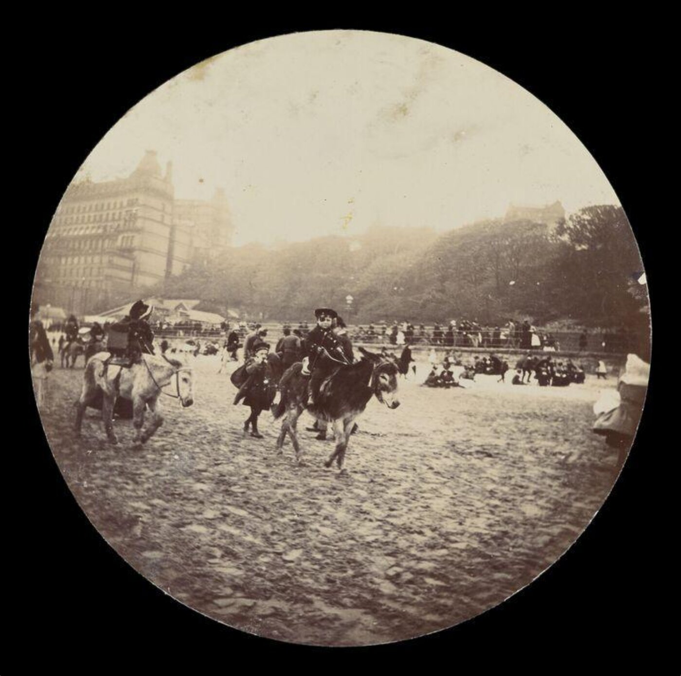 Unknown, Donkey Ride