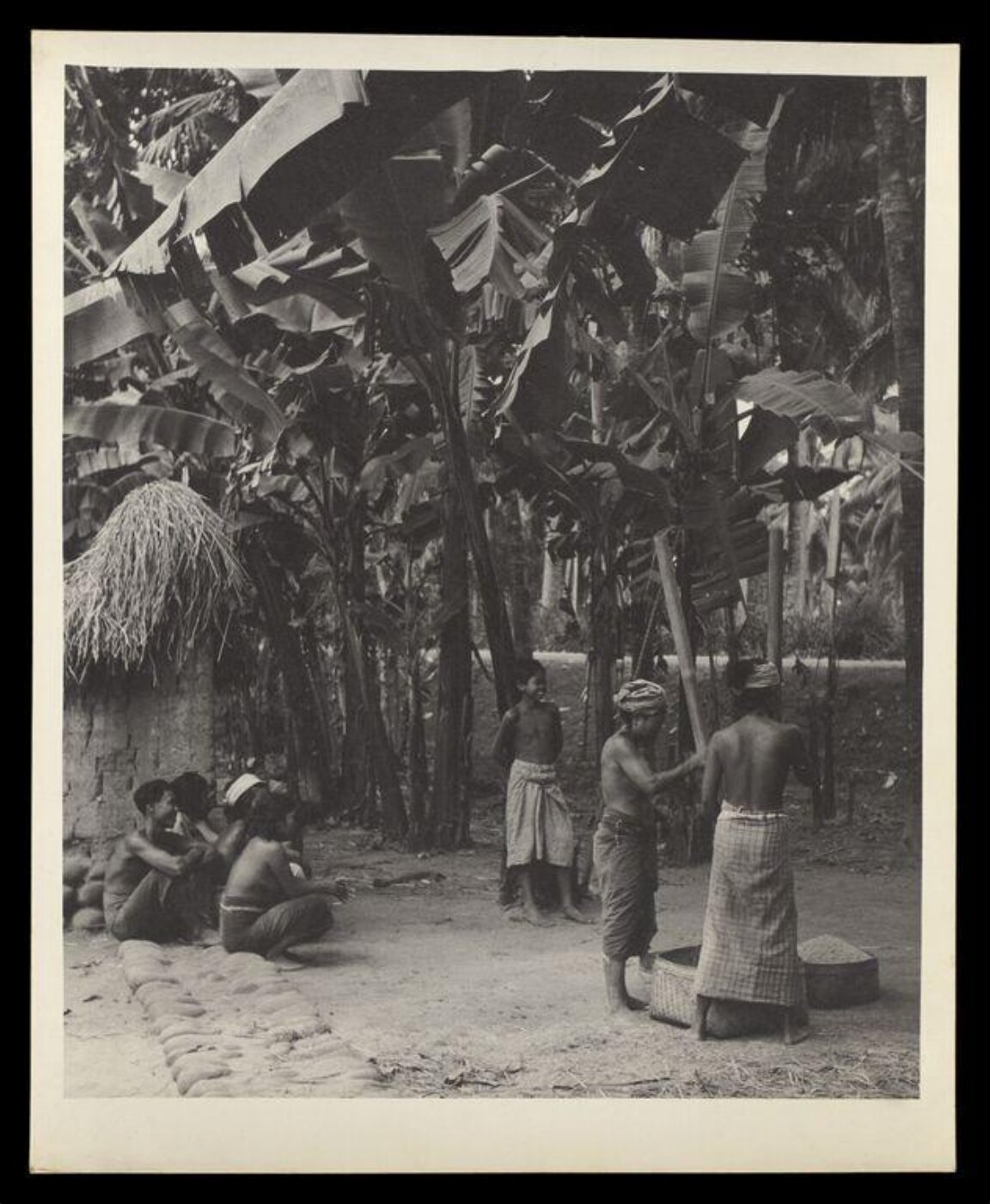 Hardy, Bert, Street Scene