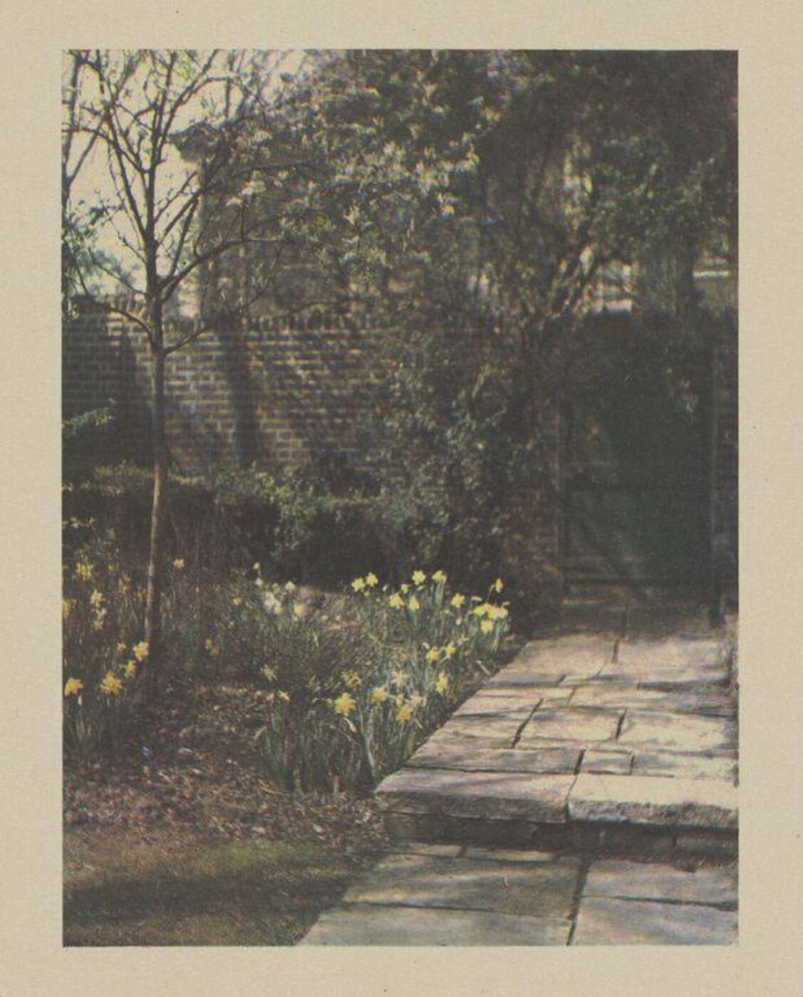 Warburg, Agnes Beatrice, In My Garden