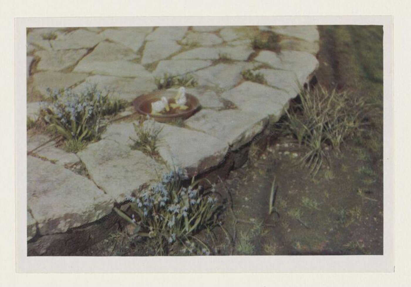 Warburg, Agnes Beatrice, Spring Song