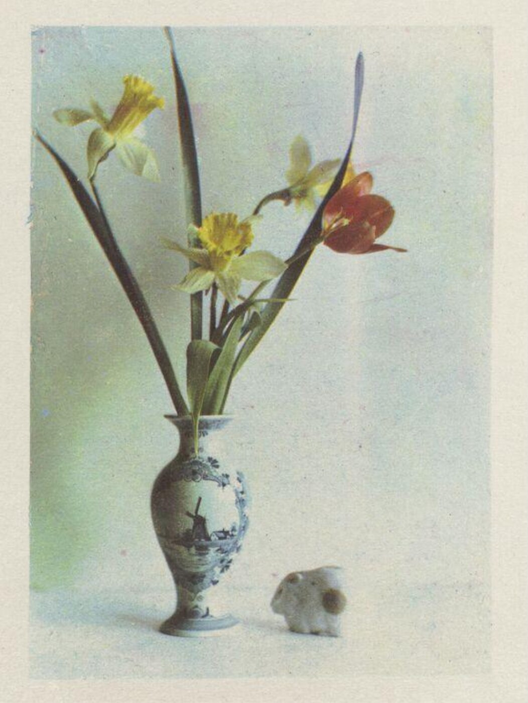 Warburg, Agnes Beatrice, First Colour Print