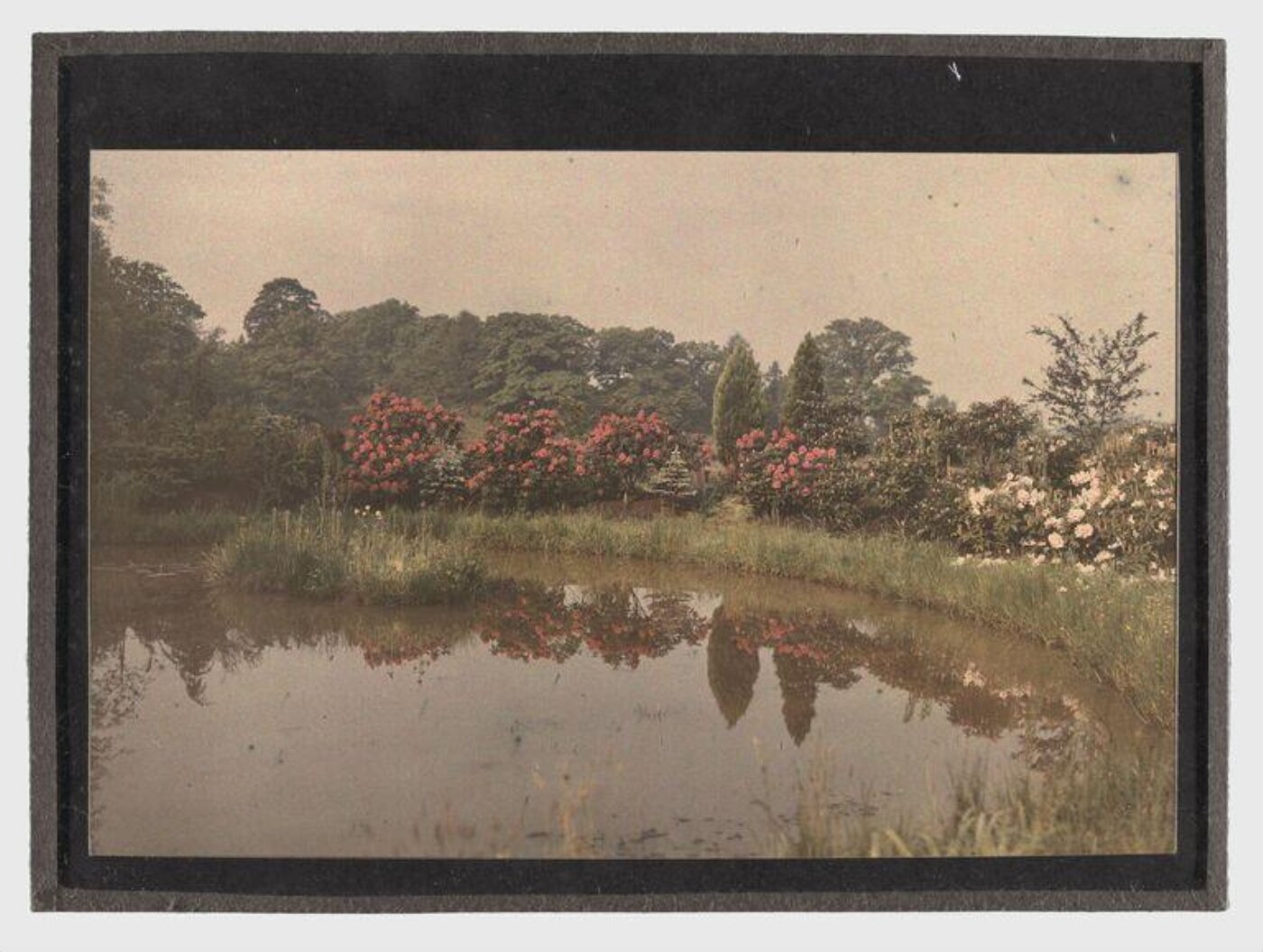 Unknown, Garden study
