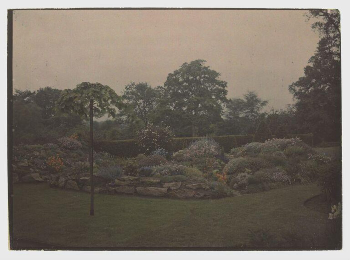 Unknown, Garden study