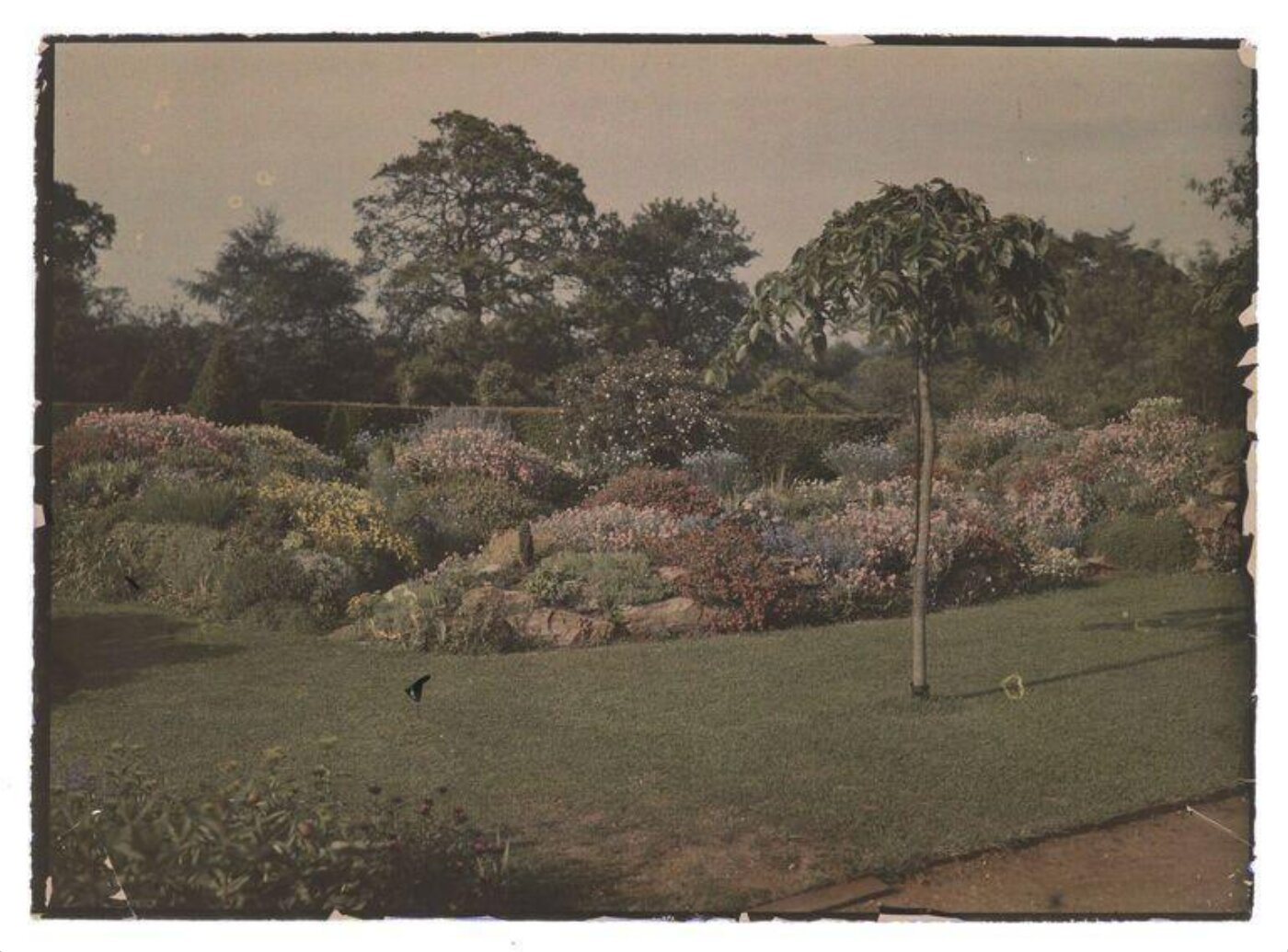Unknown, Garden study