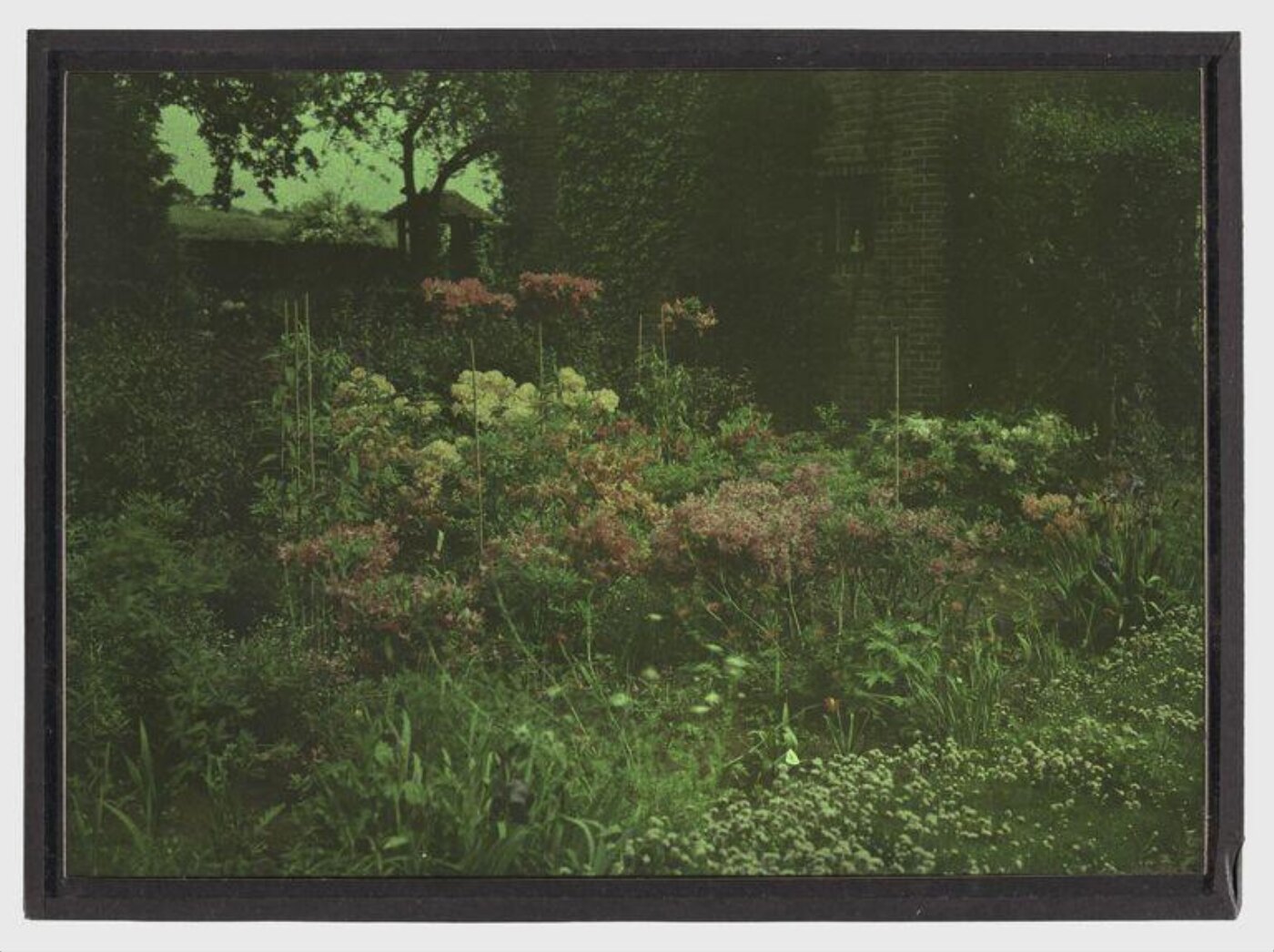 Unknown, Garden study