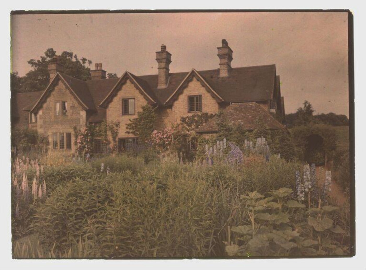 Unknown, Englsih cottage garden