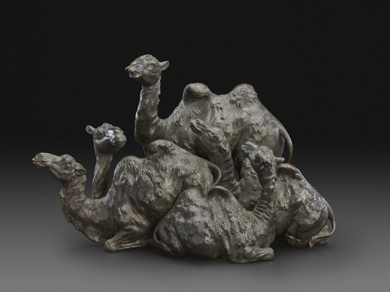 Camels, Genryūsai Seiya, ca. 1890
