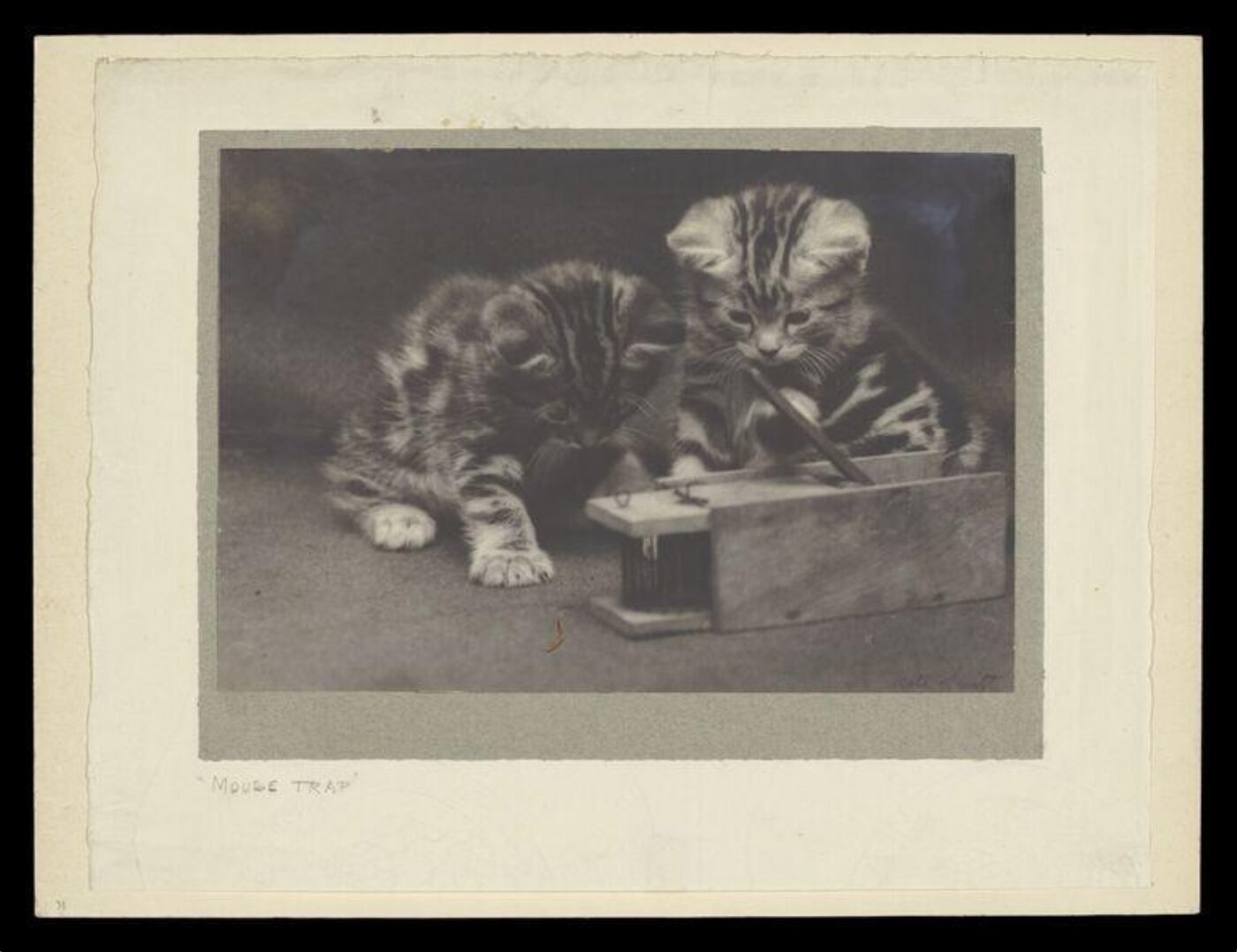 Smith, Kate, Mouse Trap
