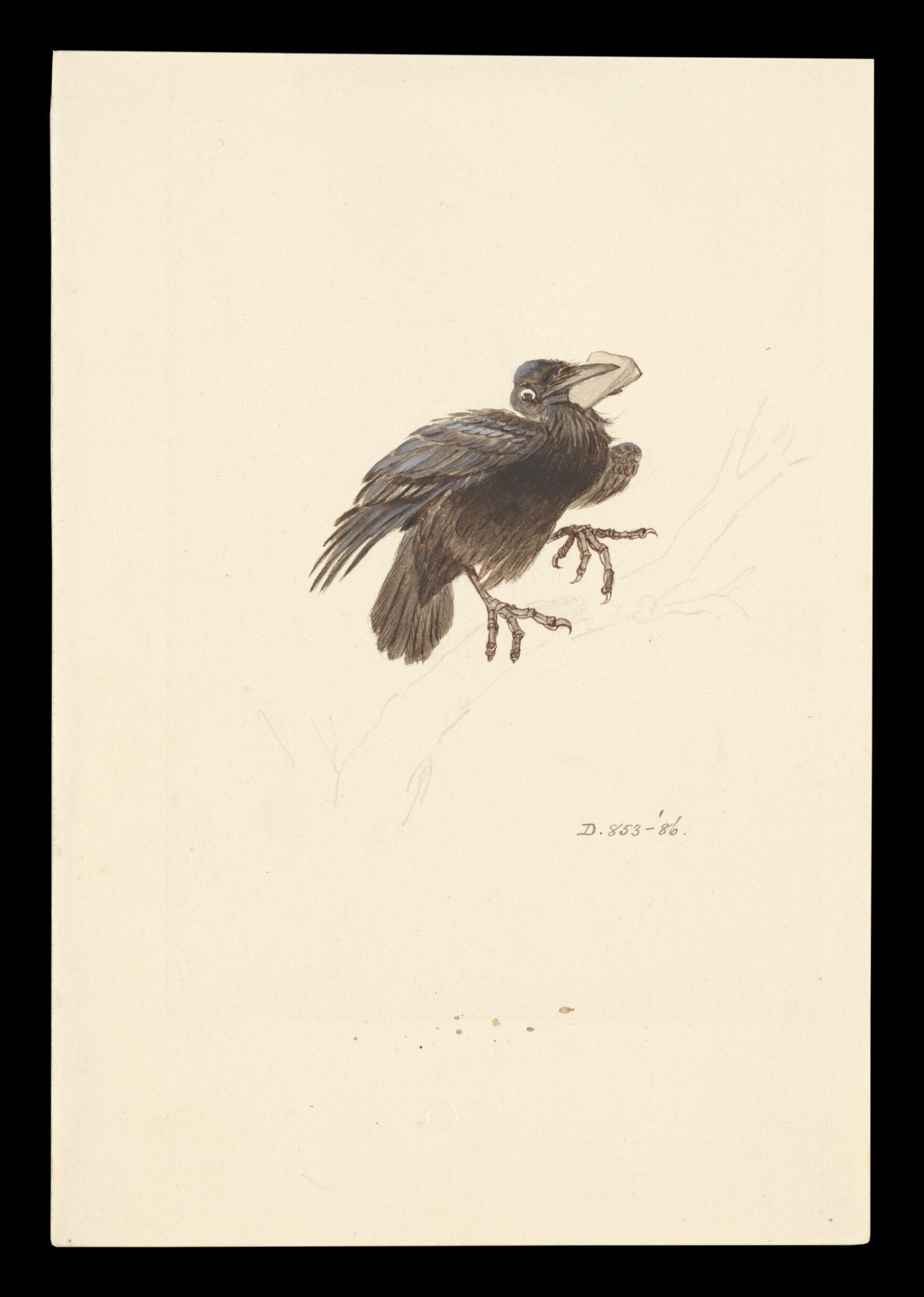 The Fox and the Crow, Randolph Caldecott, 1874-1883