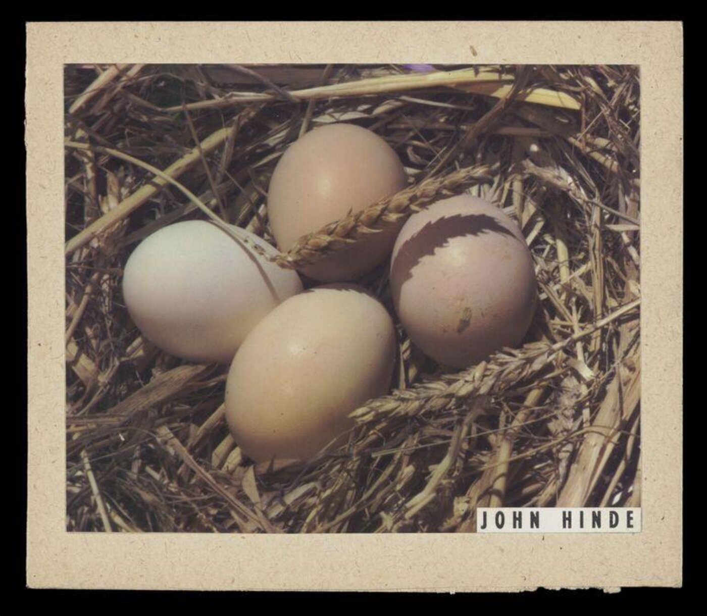 Hinde, John Wilfrid, Eggs