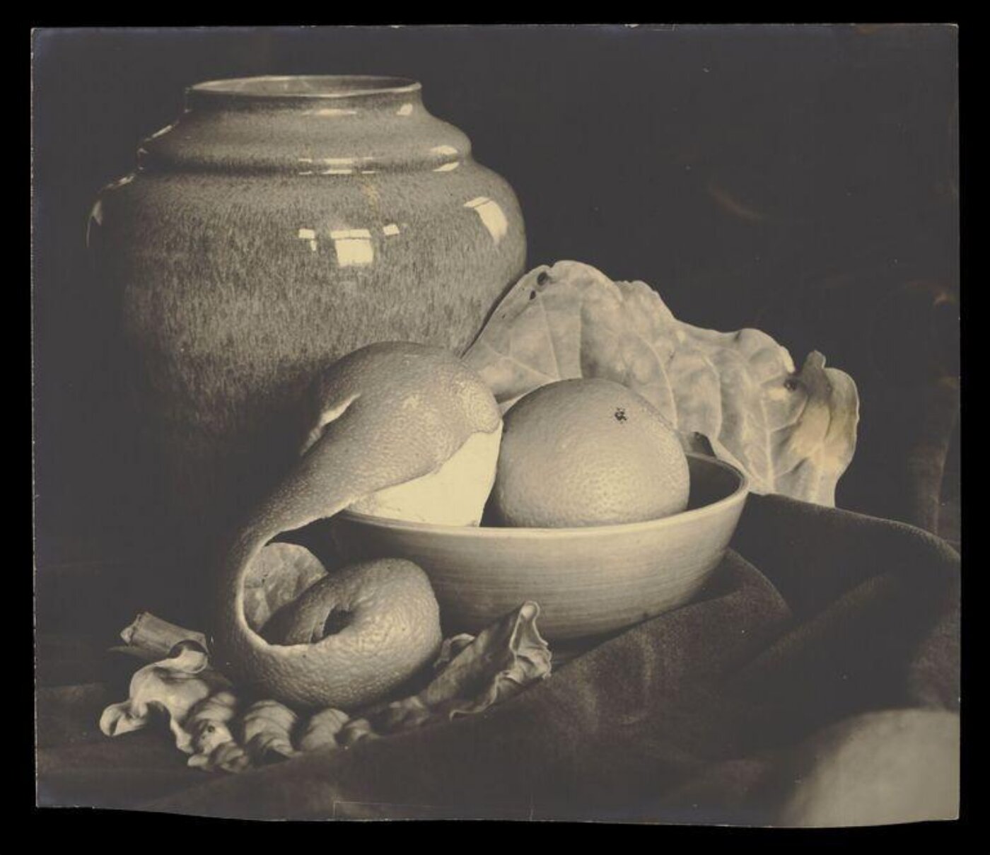 Hinde, John Wilfrid, Still Life