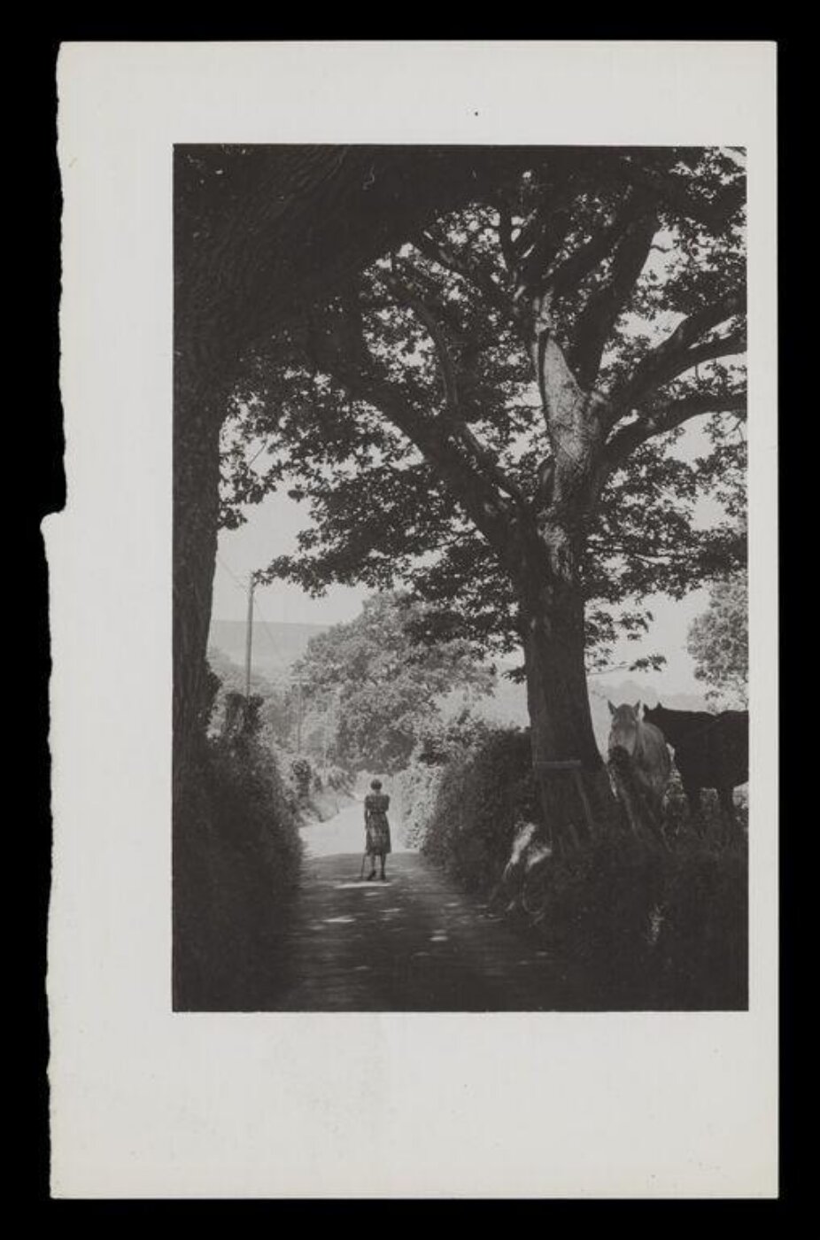 Hinde, John Wilfrid, A Woman Walking Down a Path