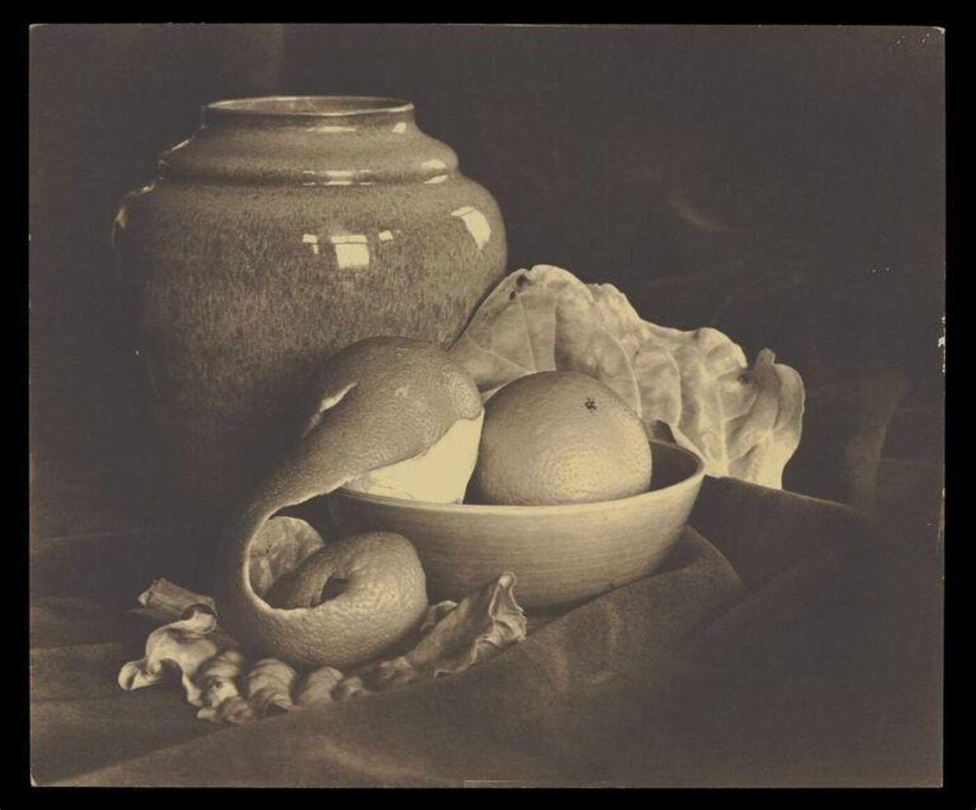 Hinde, John Wilfrid, Still Life