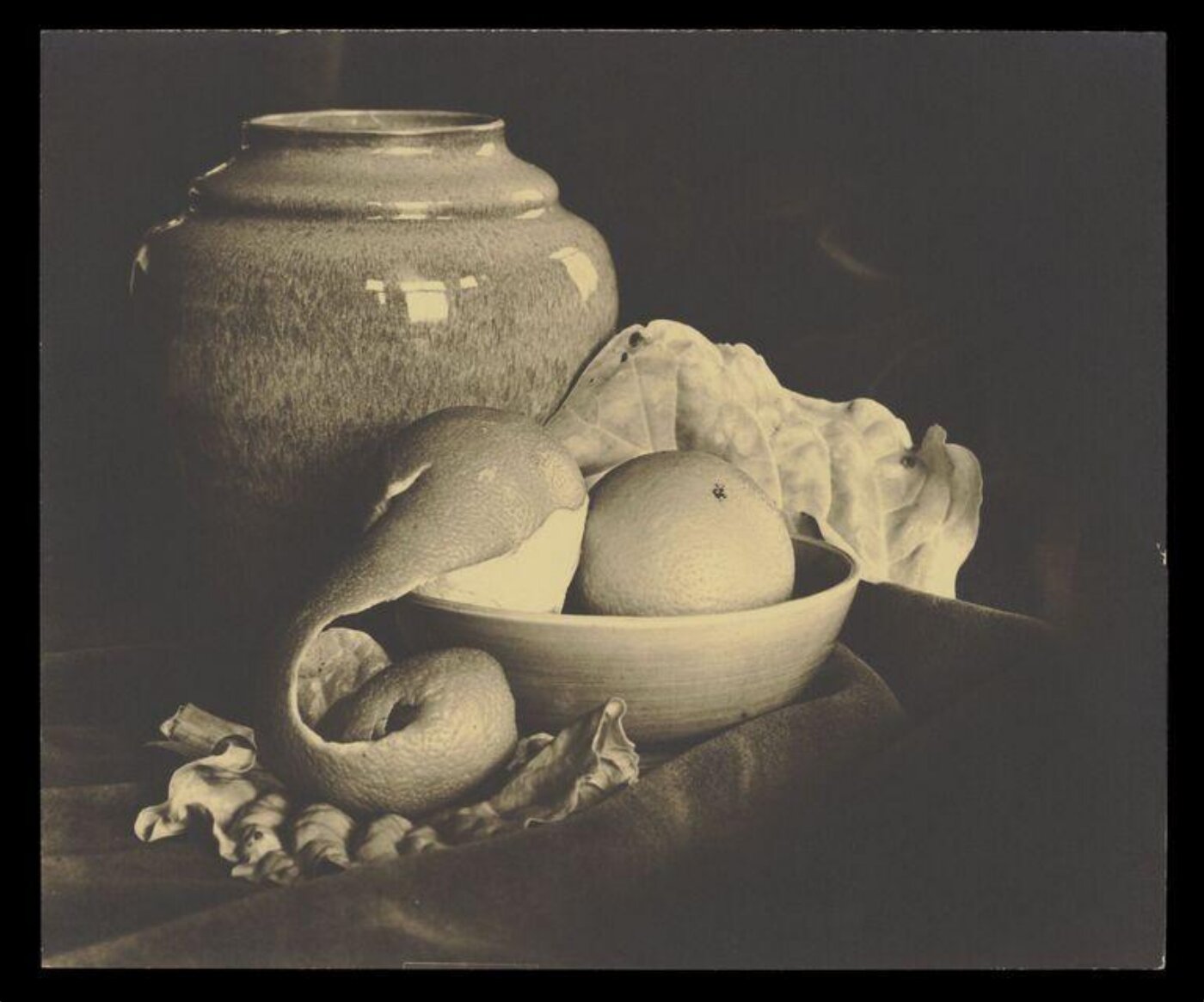 Hinde, John Wilfrid, Still Life