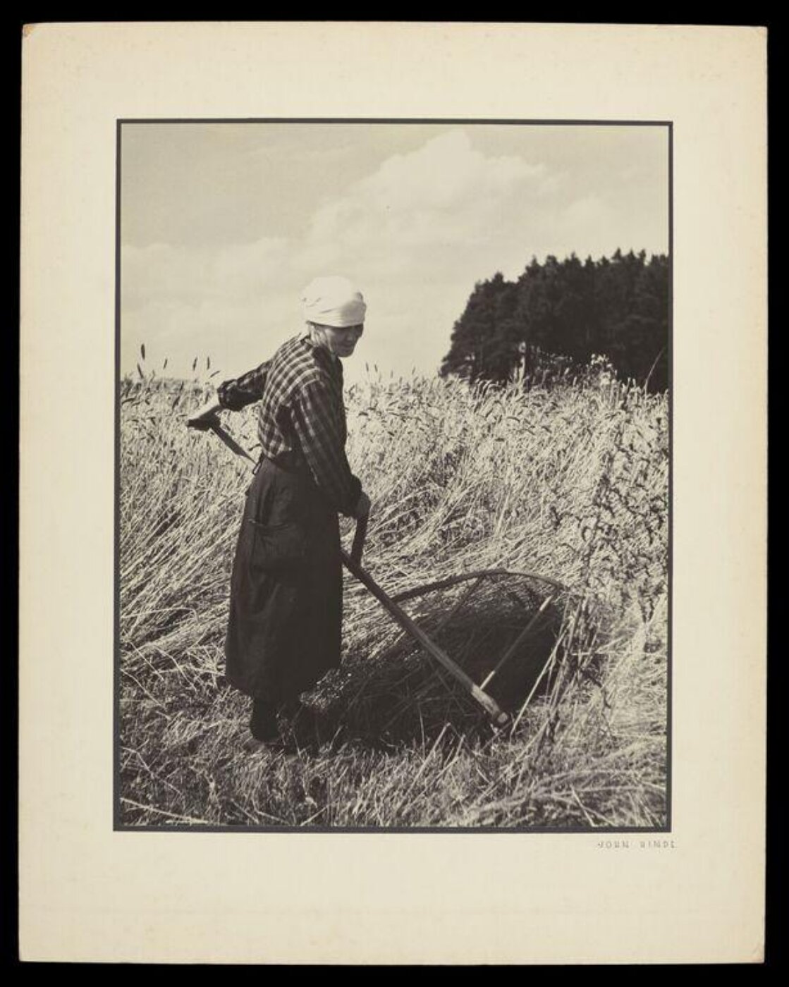 Hinde, John Wilfrid, Amid the Corn